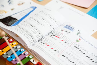 九游下载官网-中小学体育课安全教育实施现状研究，体育课堂安全背景下的小学体育课现状