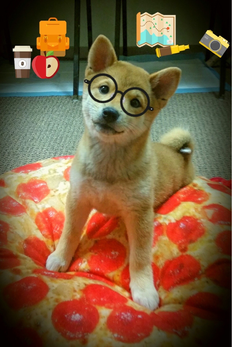 体育赛事合作媒体策略,体育赛事合作方案