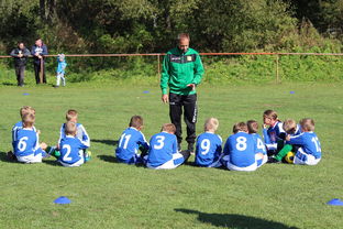 九游网页版入口-德甲球队构建战术模拟平台提升临场应变能力，德甲模式