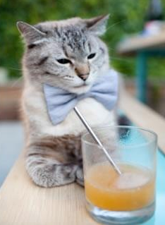 英超外援青训融合模式对年轻球员成长的助力,英超青训最好的球队