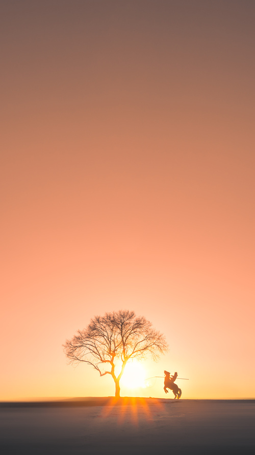 九游（jiuyou.com）游戏-青少年体育竞赛组织管理方案，青少年体育竞训工作