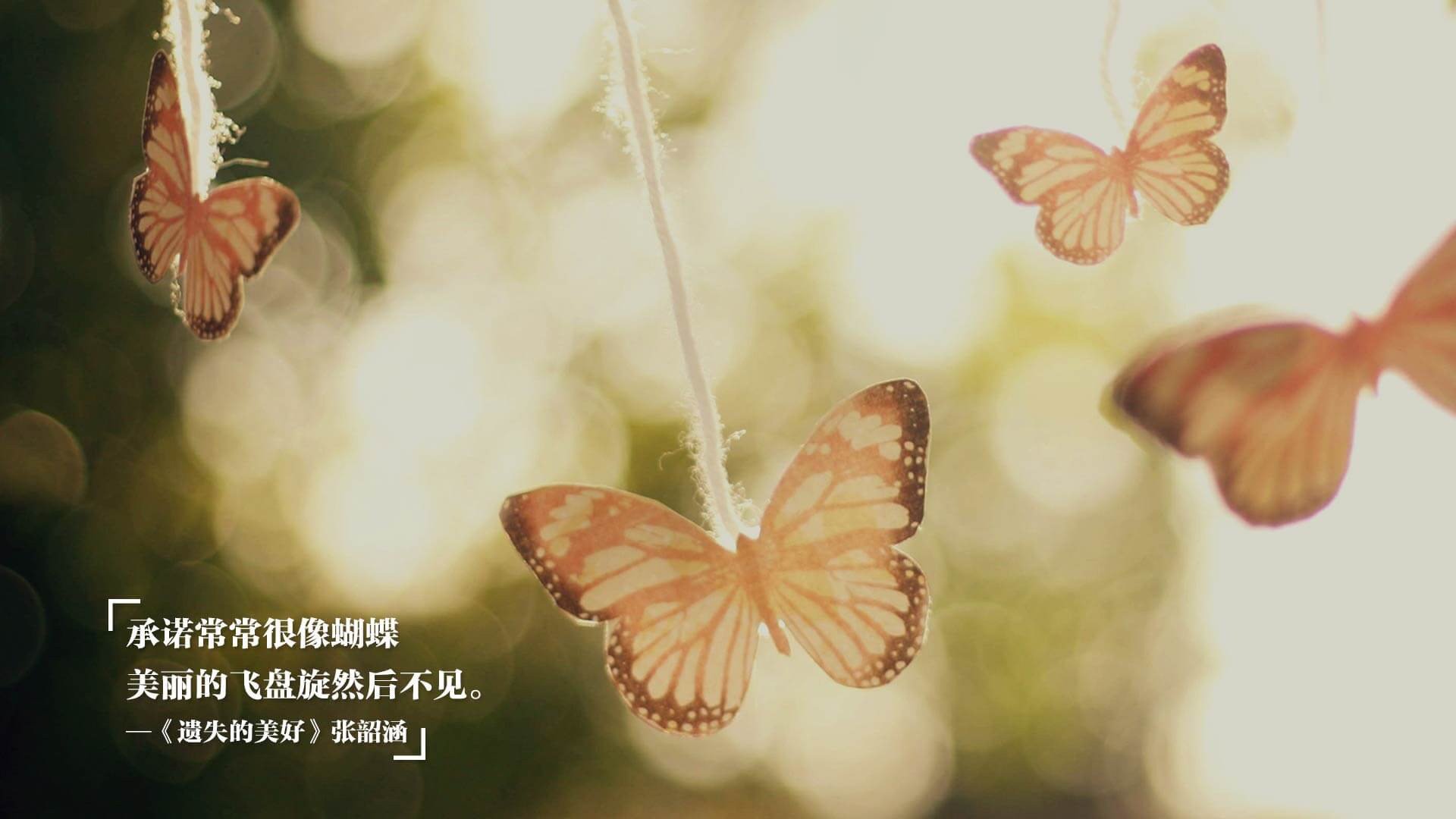 “2025世界运动会:简阳文体中心篮球赛成为亮点赛事”