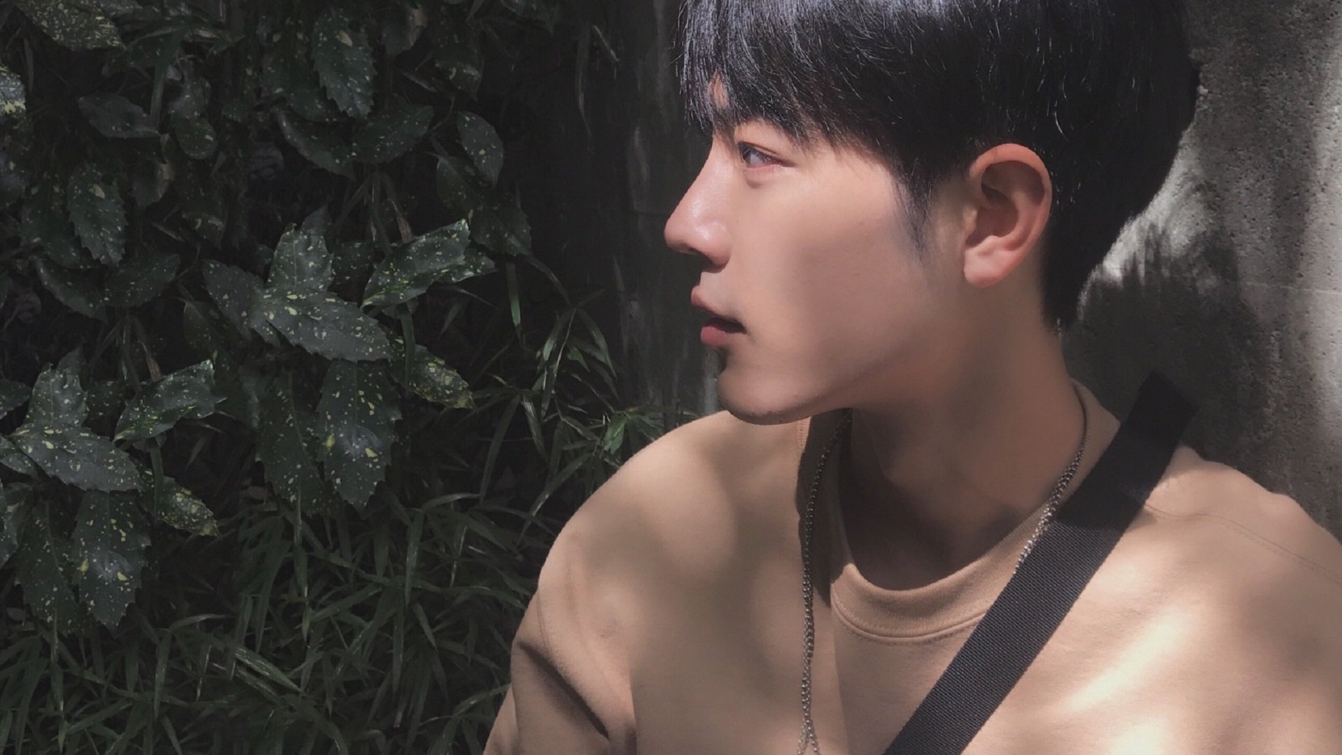 中国选手包揽亚洲击剑锦标赛女子花剑前三,击剑全国冠军女