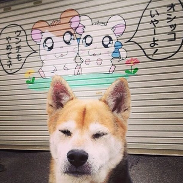 五大联赛是否鼓励中后场断球后立即长传反打思路,五大联赛中场休息多久