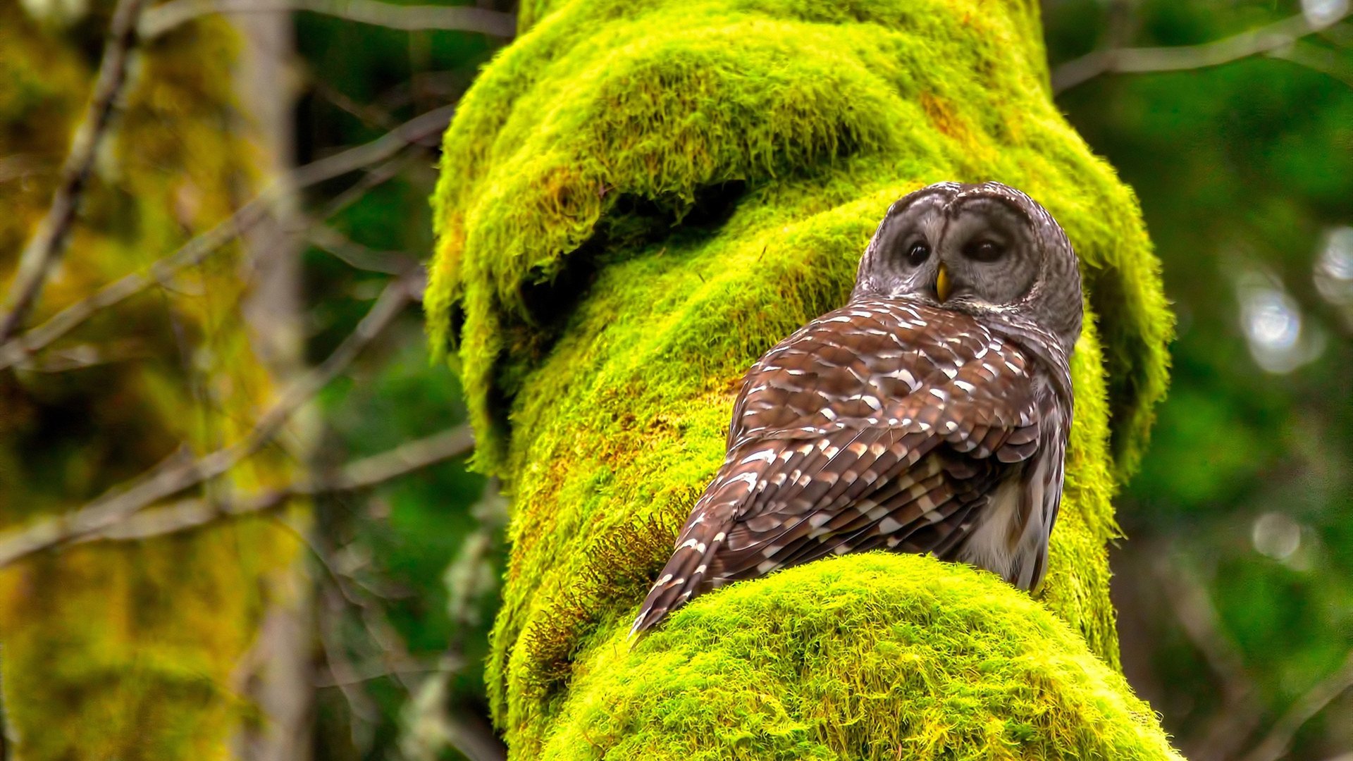 电竞行业人才缺口持续扩大高端人才供不应求,电竞人才缺口达50万!