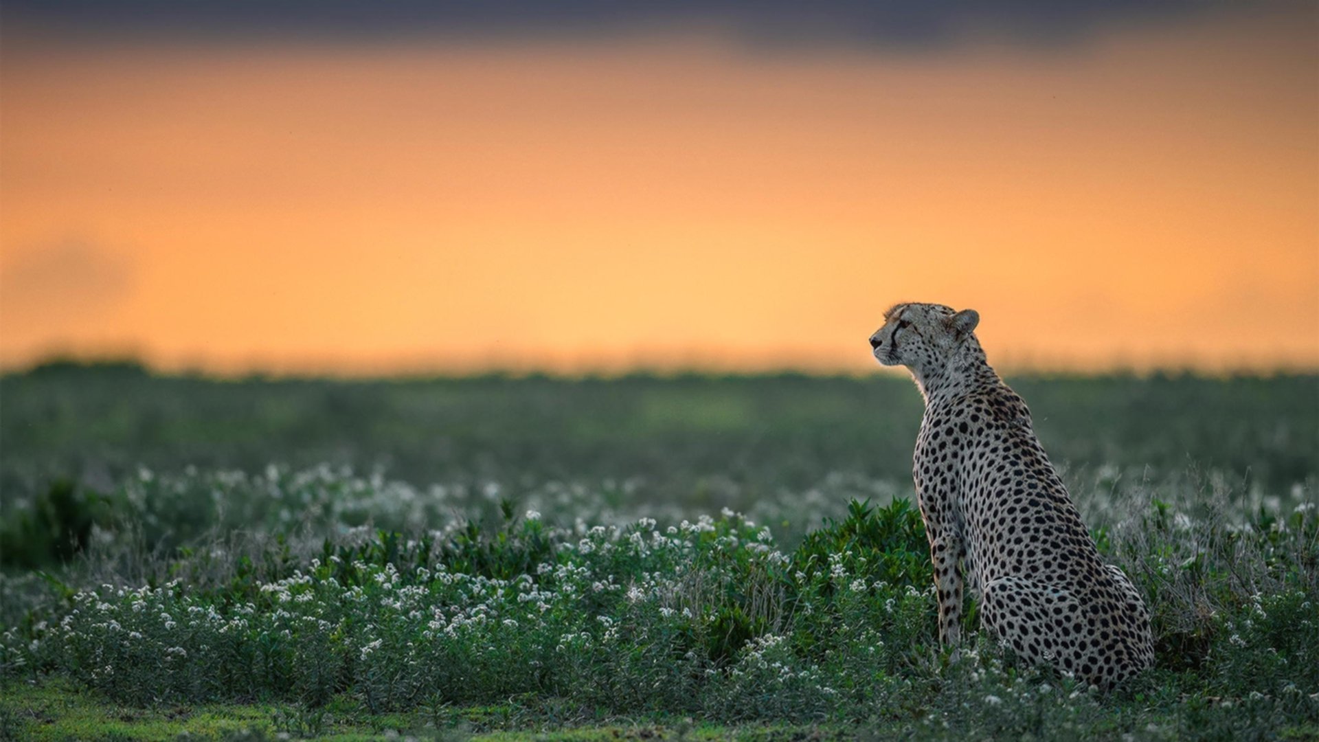 九游官网下载电脑版-中国足球国家队赛后复盘机制趋于专业化，国足终于赢球了
