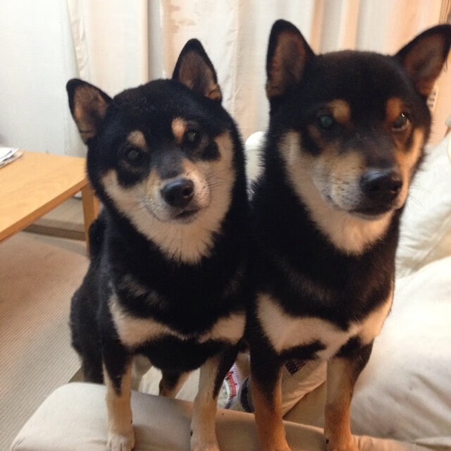 巴萨举办公益赛,捐赠善款支持青少年,巴萨或获5亿欧赞助