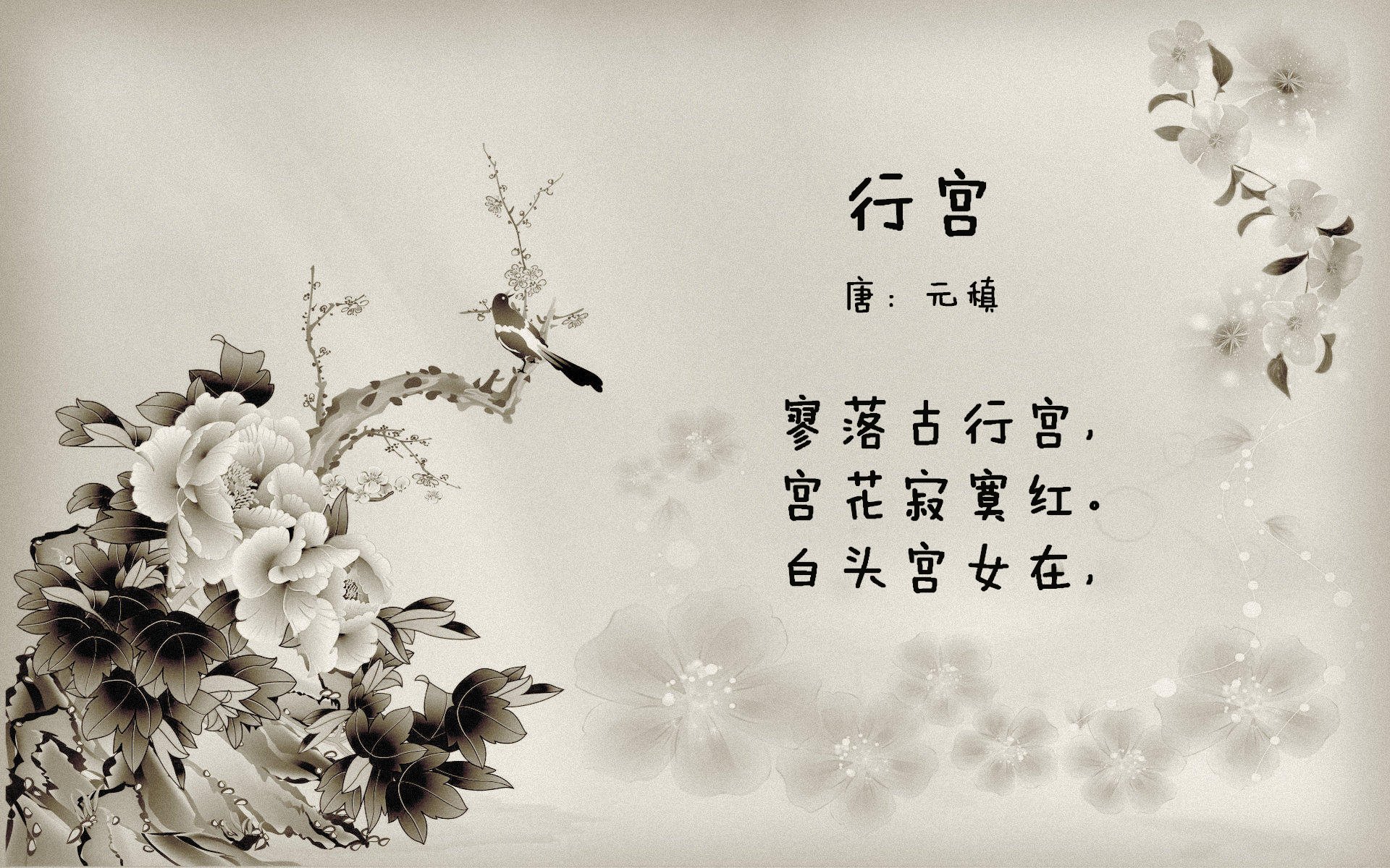 法国队混合4×100米自由泳接力发挥出色,法国队自由人