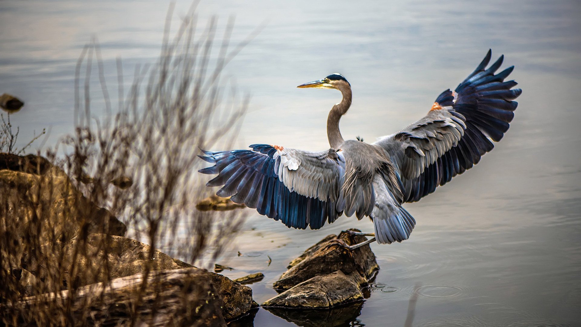 跑步爱好者盛会 城市马拉松热力开跑，城市马拉松热的现象分析